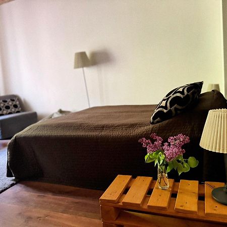 Viesu Nams Vilhelmine Hotell Līgatne Eksteriør bilde